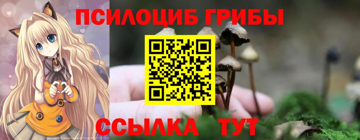 продажа наркотиков  Псилоцибиновые грибы GOLDEN TEACHER  Галлюциногенные грибы Magic Shrooms  Вход с VPN  Краснокаменск 
